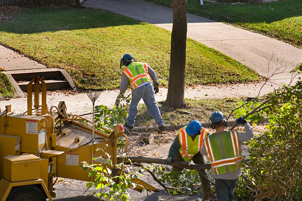 Best Tree Risk Assessment  in Fletcher, OK